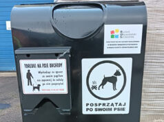 „Psie” kosze już są. Finał projektu Budżetu Obywatelskiego