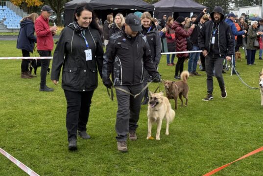 W Szczecinku znów królować będą wielorasowce