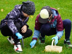 Krokusowa rewolucja przed zamkiem