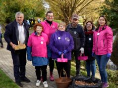Radomyślańskie Krokusy w Barwicach