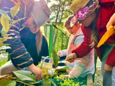„Tajemnice leśnego świata”, czyli edukacja ekologiczna dzieci