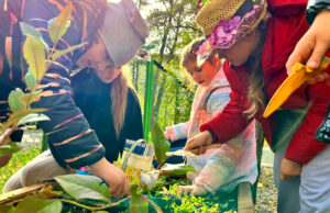 „Tajemnice leśnego świata”, czyli edukacja ekologiczna dzieci