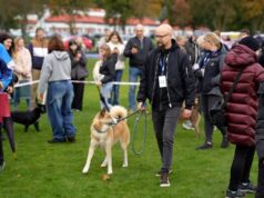 Wystawa Psów Nierasowych w Szczecinku