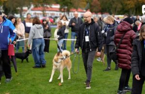 Wystawa Psów Nierasowych w Szczecinku