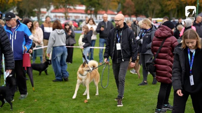 Wystawa Psów Nierasowych w Szczecinku