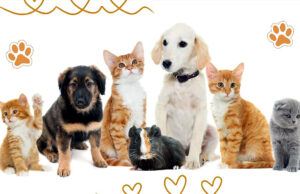 „Z miłości do zwierząt” – program godny pochwały