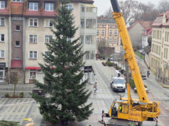 Świąteczna choinka przyjechała z Drawienia