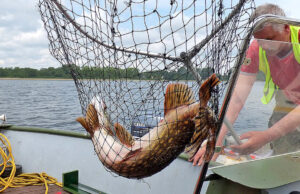 Wybierasz się na ryby? Zobacz cennik na 2026 rok