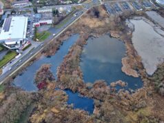 Prace porządkowe na szczecineckich Wapnach