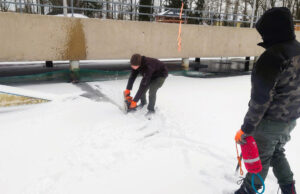 Chronią wyciąg nart wodnych przed naporem lodu. Jest niebezpiecznie!