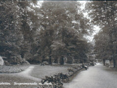 Stellter. Zapomniany budowniczy parku w Szczecinku