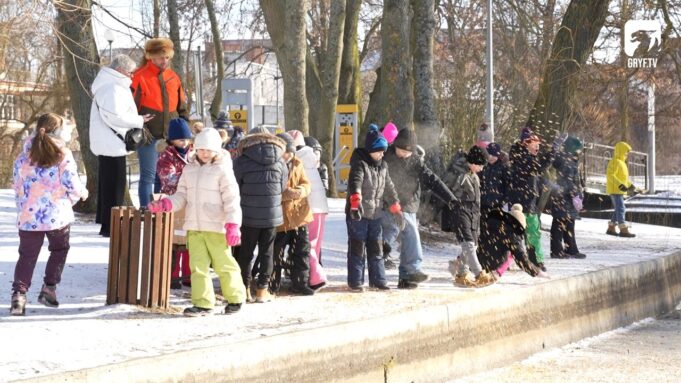 Dokarmianie zimujących ptaków – finał akcji KŁ Darzbór