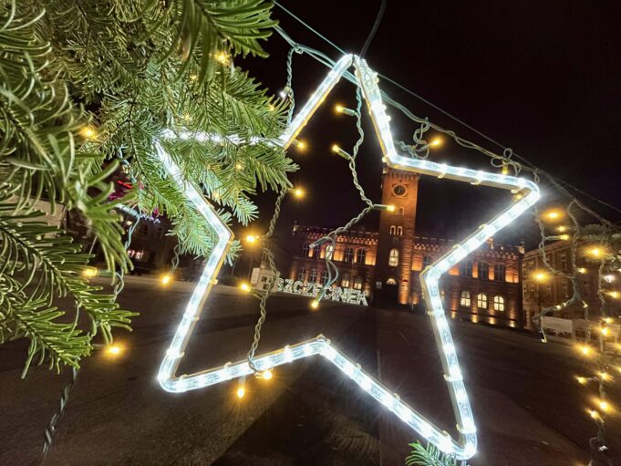 Choinka czeka na… wiosnę