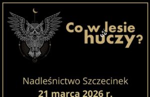 21.03.26 | Co w lesie huczy? | gmina Szczecinek