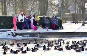 Ratusz dziękuje uczniom SP7 za dokarmianie ptaków