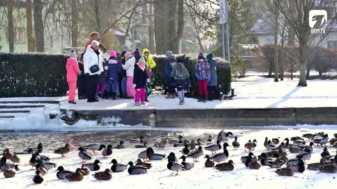Ratusz dziękuje uczniom SP7 za dokarmianie ptaków