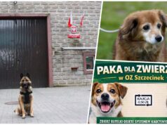 Proekologiczna resocjalizacja