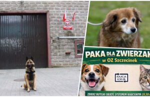Skazani pomogą czworonogom ze schroniska