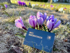 Karta Mieszkańca „Mój Szczecinek” numer 9000