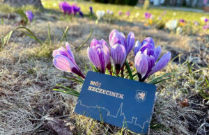 Karta Mieszkańca „Mój Szczecinek” numer 9000