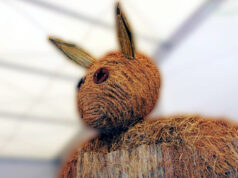 Trzeci rok działalności i 45-lecie „Misia”