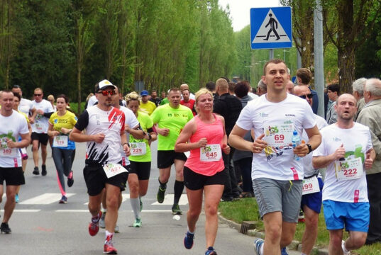 Odliczanie do 42. Biegu Osińskiego