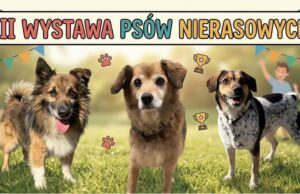 24.05.2026 | III Wystawa Psów Nierasowych | Szczecinek