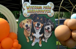 III Wystawa Psów Nierasowych w Szczecinku