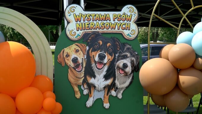 III Wystawa Psów Nierasowych w Szczecinku