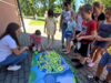 Lato za pasem. Zapisy na półkolonie w Szczecinku