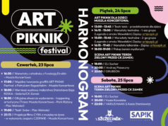 Art Piknik