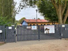 Dobra wiadomość dla podopiecznych schroniska