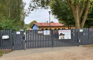 Dobra wiadomość dla podopiecznych schroniska