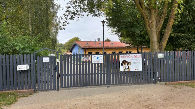 Dobra wiadomość dla podopiecznych schroniska