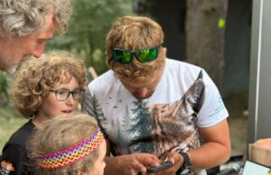 Las w samym sercu Najpiękniejszego Festiwalu Świata