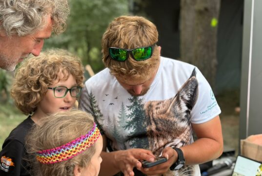 Las w samym sercu Najpiękniejszego Festiwalu Świata