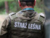 Bezpieczna jesień w lasach. Trwa akcja „Jesień 26”