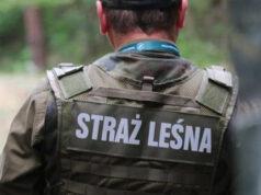 Bezpieczna jesień w lasach. Trwa akcja „Jesień 26”