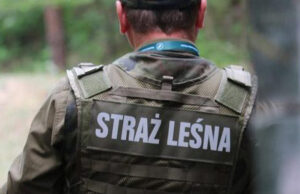Bezpieczna jesień w lasach. Trwa akcja „Jesień 26”
