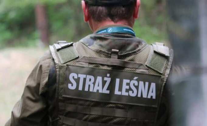 Bezpieczna jesień w lasach. Trwa akcja „Jesień 26”