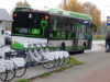 Więcej autobusów na Wszystkich Świętych