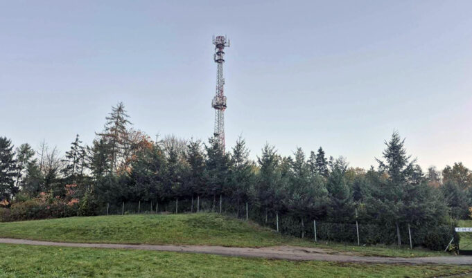 Cmentarz dla zwierząt powstanie w Szczecinku? Zdecyduje Rada Miasta