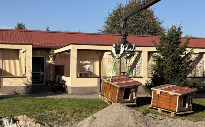 Nowe budy dla psów w szczecineckim schronisku. Dar od Kronospanu