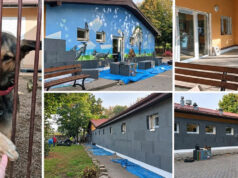 Cieplej i taniej – schronisko dla zwierząt przechodzi termomodernizację