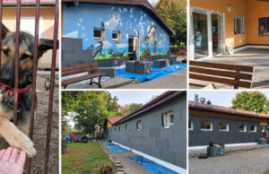 Cieplej i taniej – schronisko dla zwierząt przechodzi termomodernizację