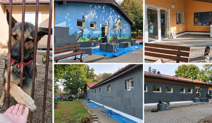 Cieplej i taniej – schronisko dla zwierząt przechodzi termomodernizację